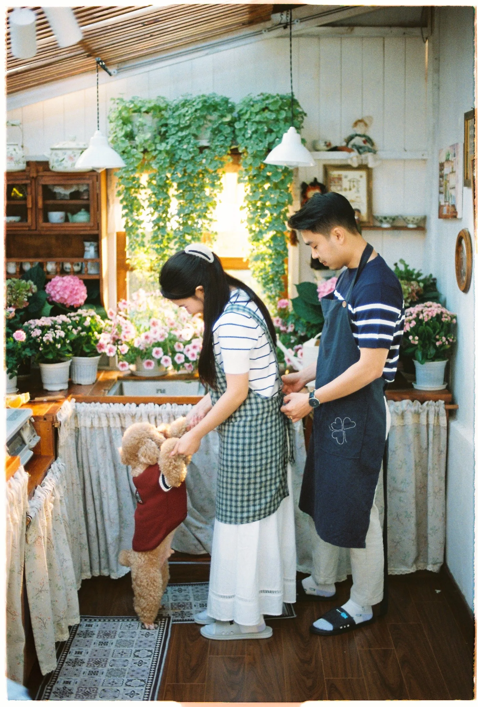 Bình & Hà: A Simple Film Pre-Wedding in Da Lat