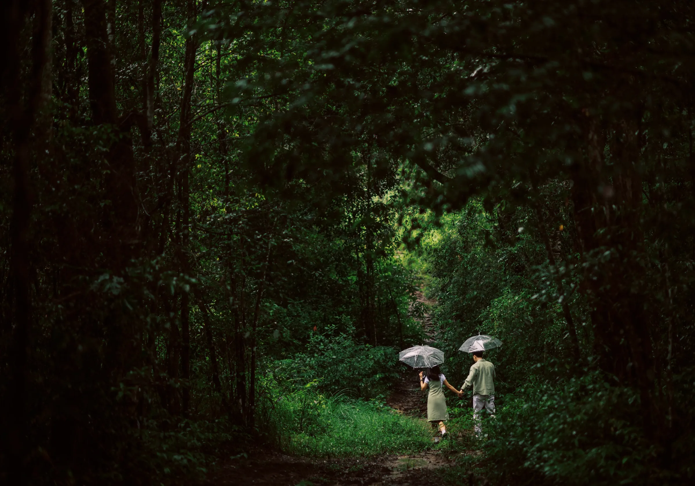 Nguyen & My: A Misty Forest Elopement, Pre-Wedding & Engagement Ceremony in Da Lat