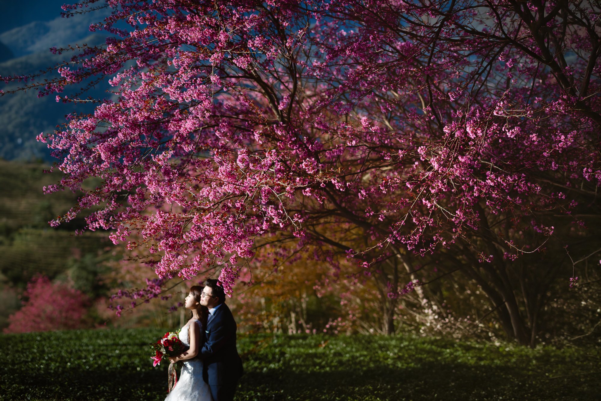 Sapa Pre-Wedding & Engagement Photos: Karen & Wilson's Cherry Blossom Love Story