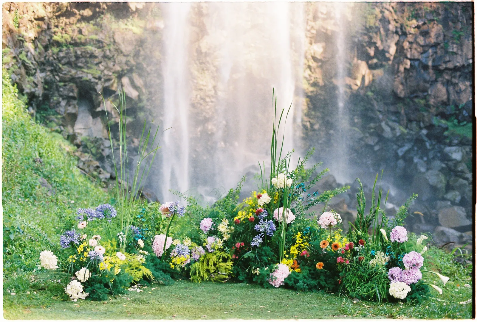 A Da Lat Waterfall Elopement on 35mm Film: Tiến Anh & Trân's Private Vow Ceremony at Liêng Chi Nha & Suối Tía