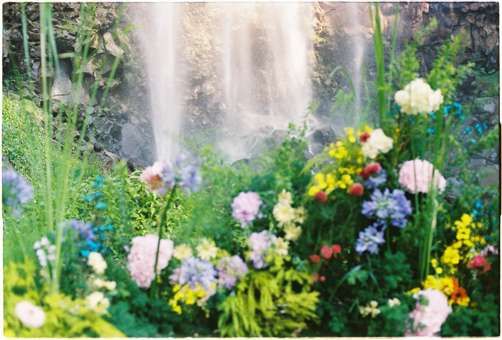 A Da Lat Waterfall Elopement on 35mm Film: Tiến Anh & Trân's Private Vow Ceremony at Liêng Chi Nha & Suối Tía