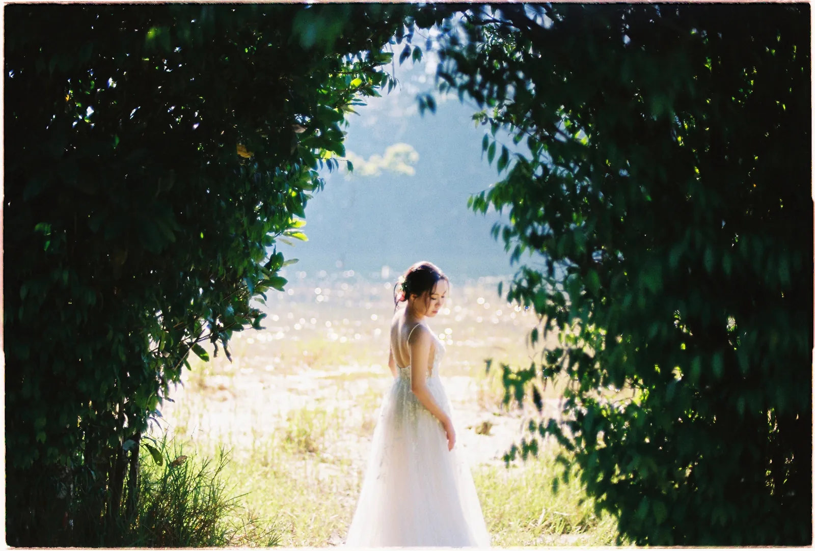 A Da Lat Waterfall Elopement on 35mm Film: Tiến Anh & Trân's Private Vow Ceremony at Liêng Chi Nha & Suối Tía